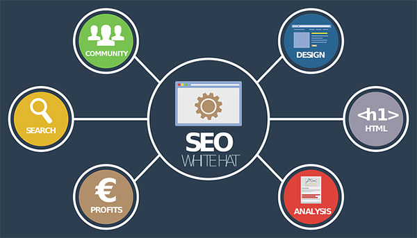 infografía esquemática del SEO